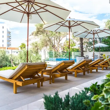 Amfora Petrovac